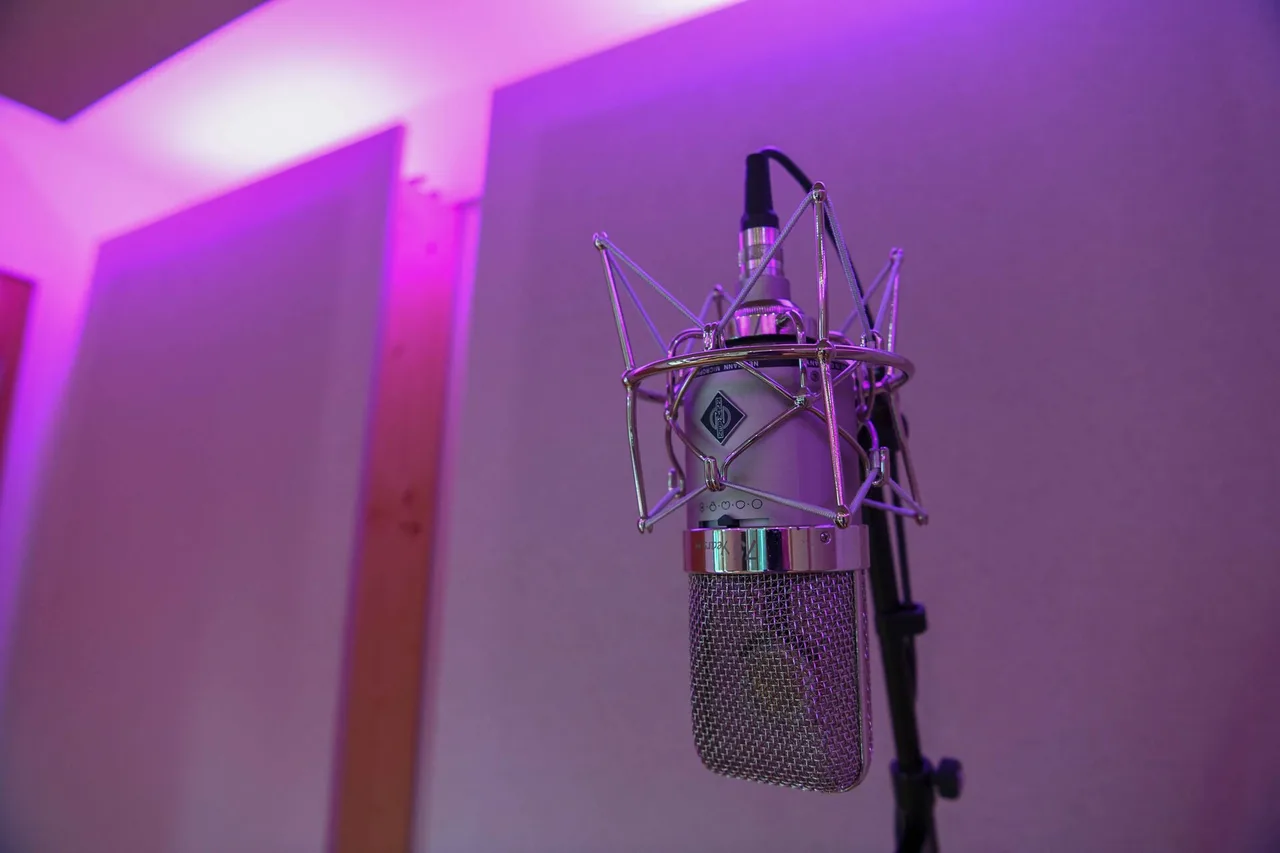 Gesangsmikrofon in einer Mikrofonspinne im Tonstudio ettracks